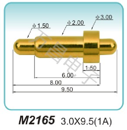 M2165 3.0x9.5(1A)nucleic acid probe Direct sales